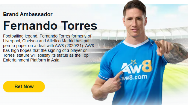 fernando torres