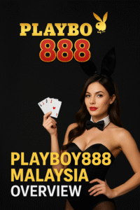 payboy888 overview